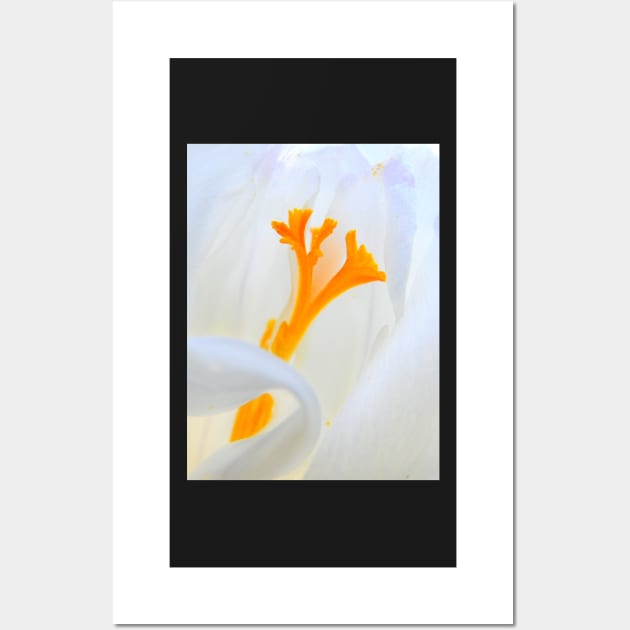 Crocus stamens ~ trumpet Spring Wall Art by LaurieMinor